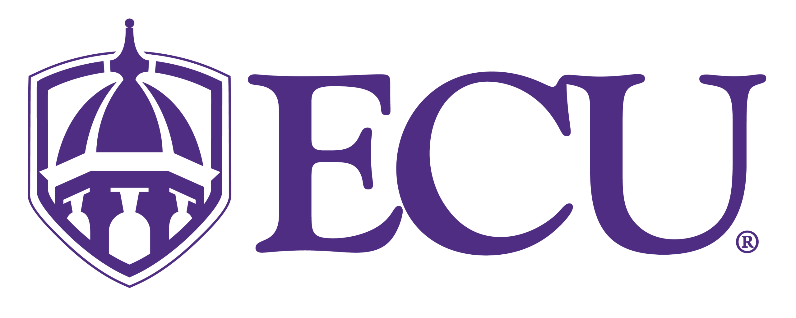 ECU_lockup_primary_Purple